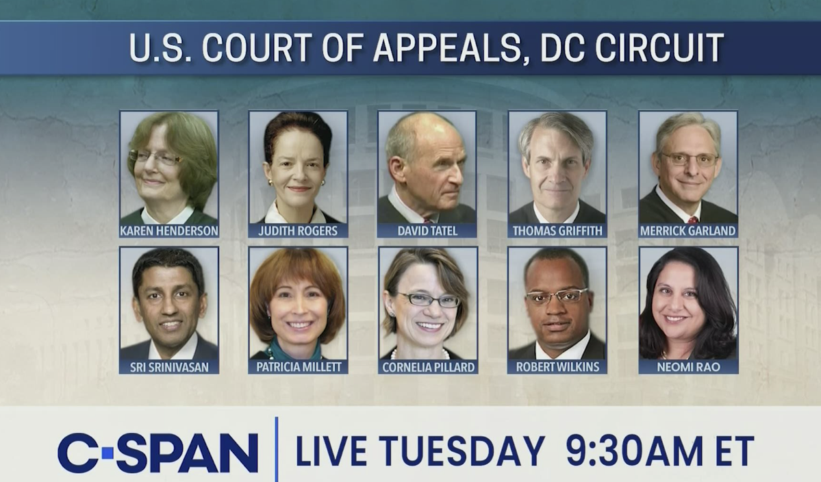 Oral Argument en Banc DC Circuit Judges