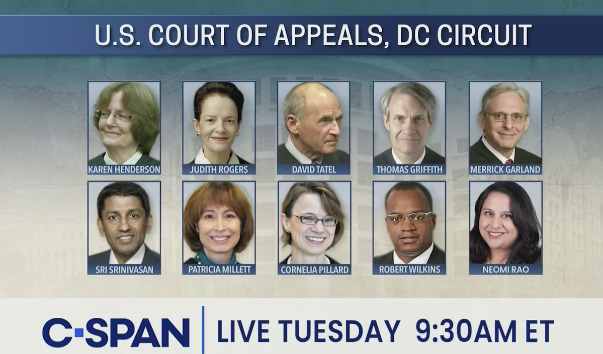 Oral Argument en Banc  DC Circuit Judges